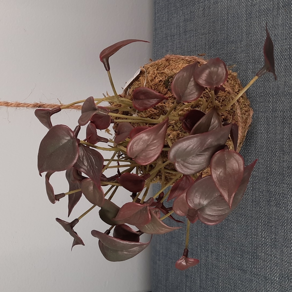 Kokedama Philodendron Artificial Plant Hanging Botanical Moss Home Decoration
